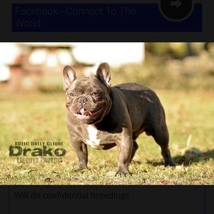 Meet your Posher, Derrick